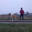 @5.5.5484