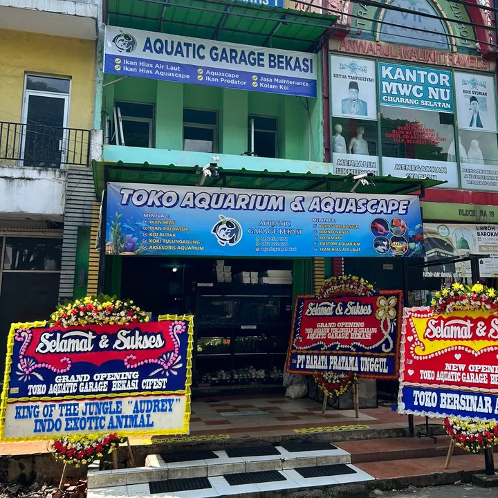 aquaticgaragebekasi