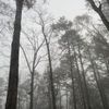 skylersdiary