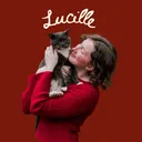 @lucilletherescuecat