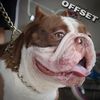 theoffsetbully