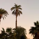 @kriya_0902