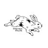 sleepwalkrecords
