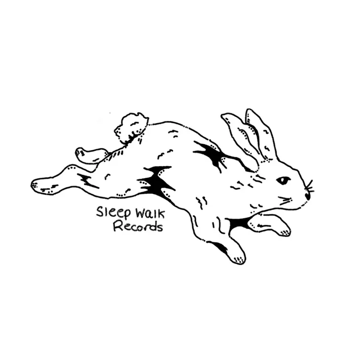sleepwalkrecords