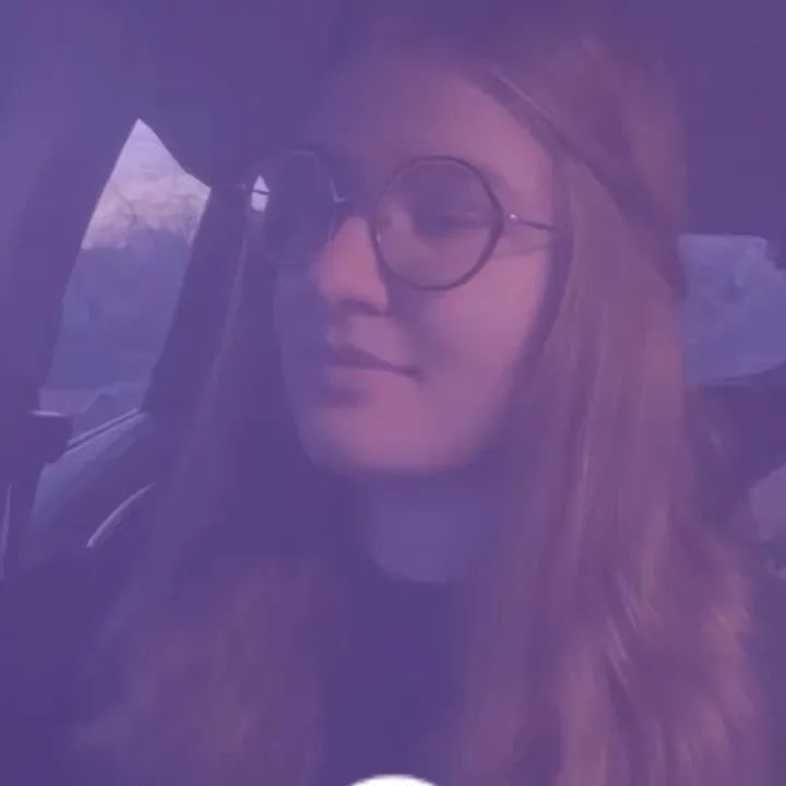 the.wondering.zelda