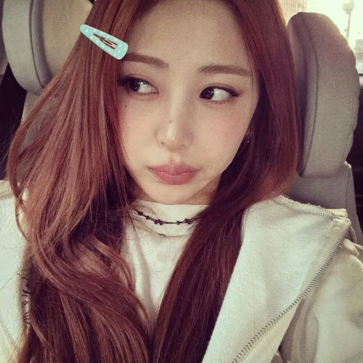 .dollrina