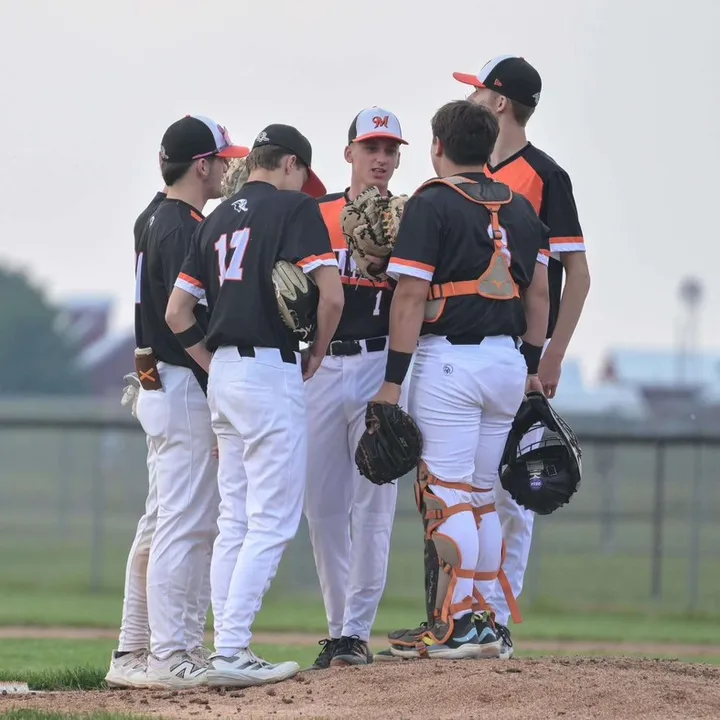 dogsbaseball