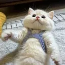 @touchingmoments4