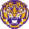 drunk_lsu_coach