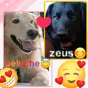 @flakita17862