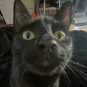 @itsmjnow