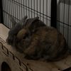 bunbunandbinky