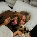 @bruisedsoup8