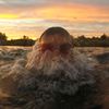 owswimmerx