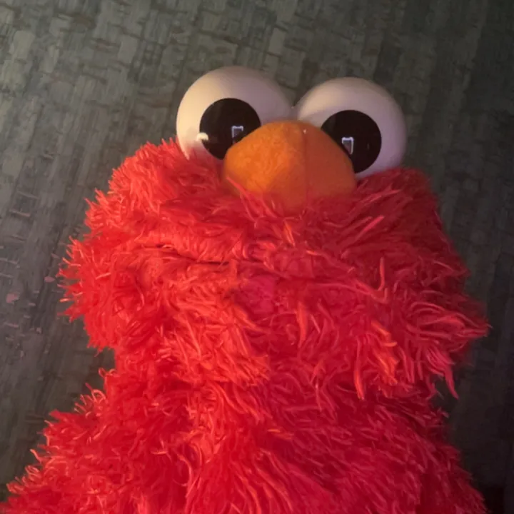 @elmo3407