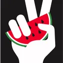 @sevran.palestine