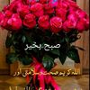 kashmiri.qaween_