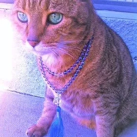 purrplejewelry
