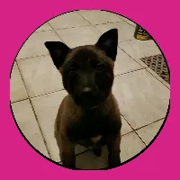 @chris_7.2