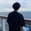 falcon_sleepy