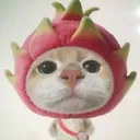 @ukajlim55