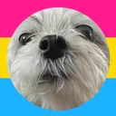 @cullslaw