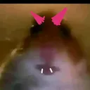 @theyeet6782
