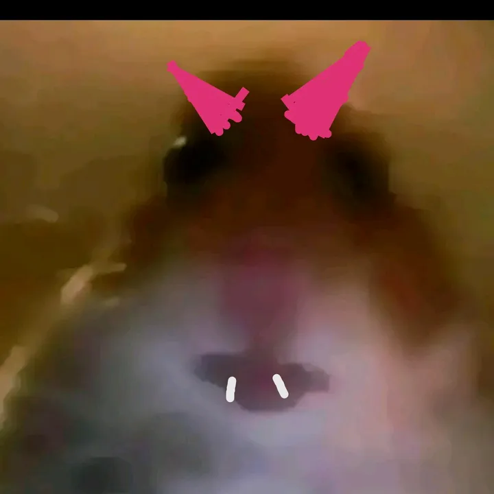 @theyeet6782