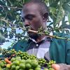 lubega6634