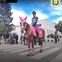 @hector.alarcon44