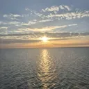 @hemligt8447