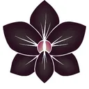 @thebelizecollection
