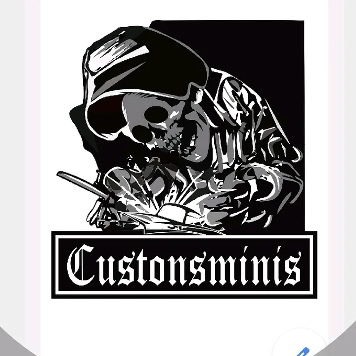 custonsminis