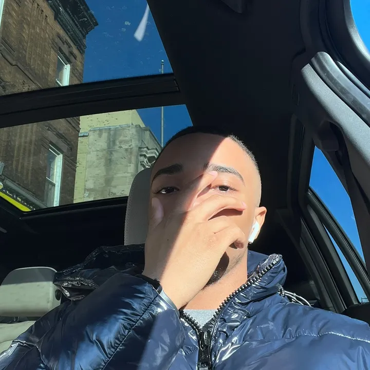 purelydinero