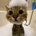 @vrtual_cutz