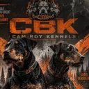 @camboykennels