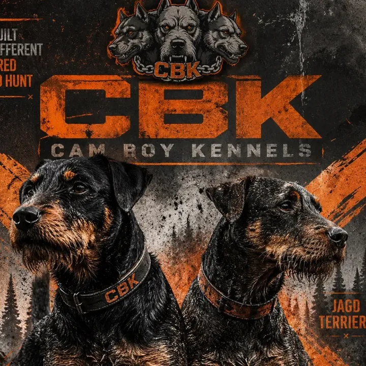 camboykennels