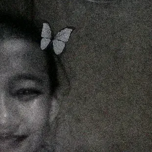 @bodrex_s1n