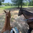 @stacey.davis7171
