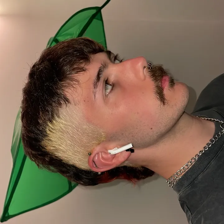 remimeeks