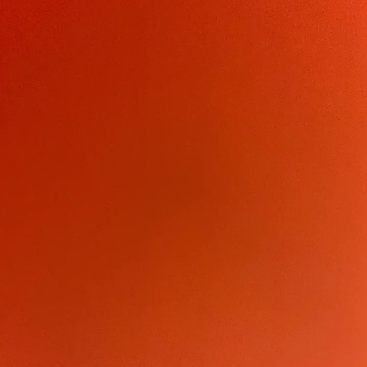 chihuahua_niki3