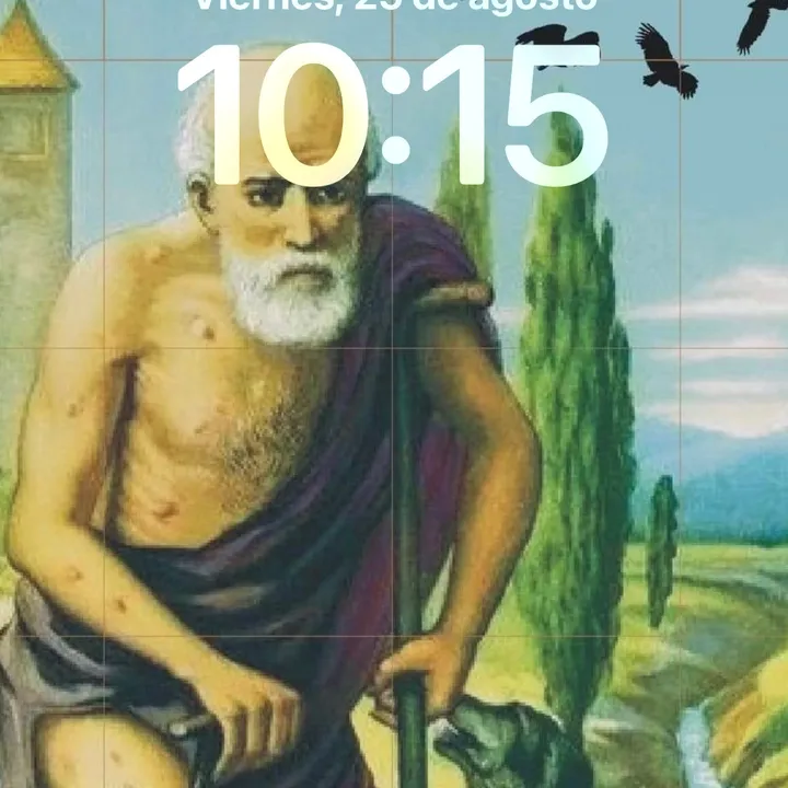 jicle14