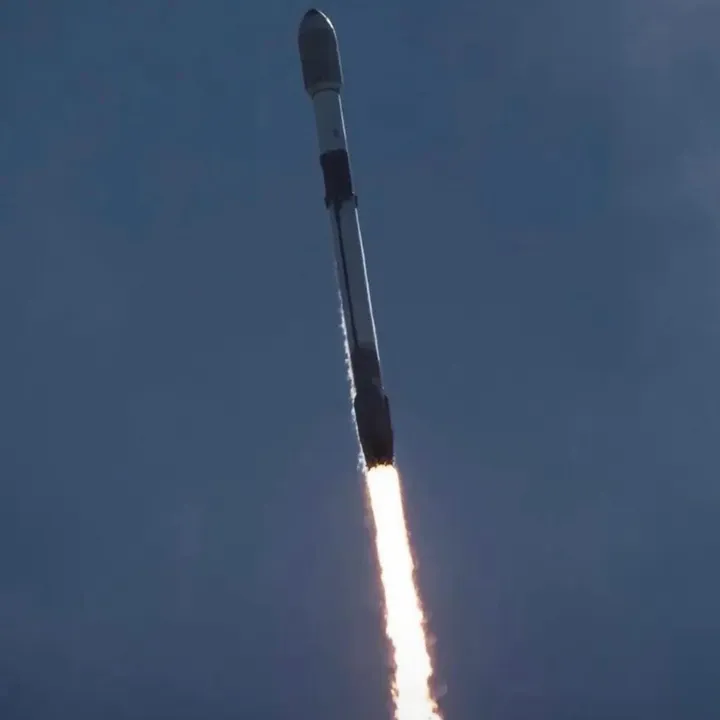 elonprime479