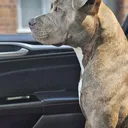 @myra_not_mya