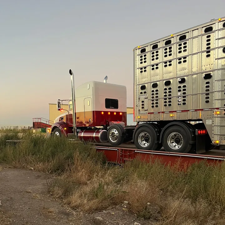 @uptrucking