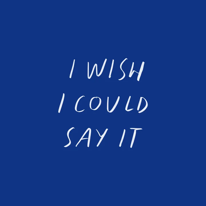 somethingicouldntsay