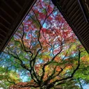 @rosieee_rose_10