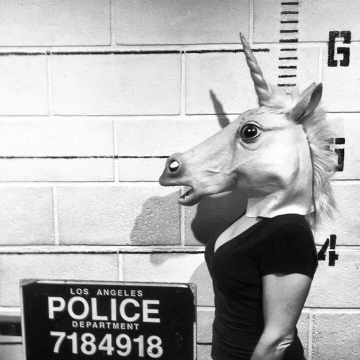 unicornlvr30000