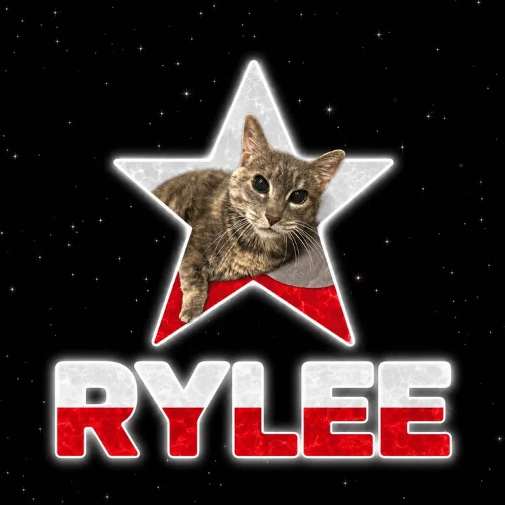 ryleeluvs.pav