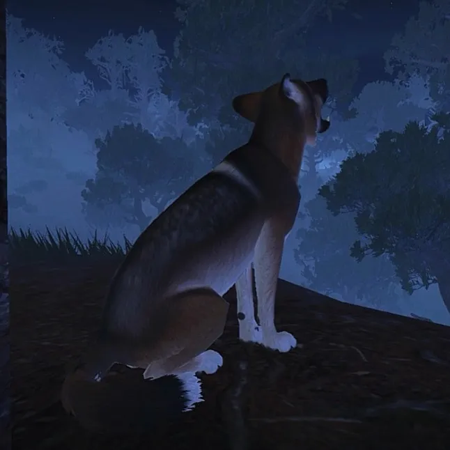 lve_animals